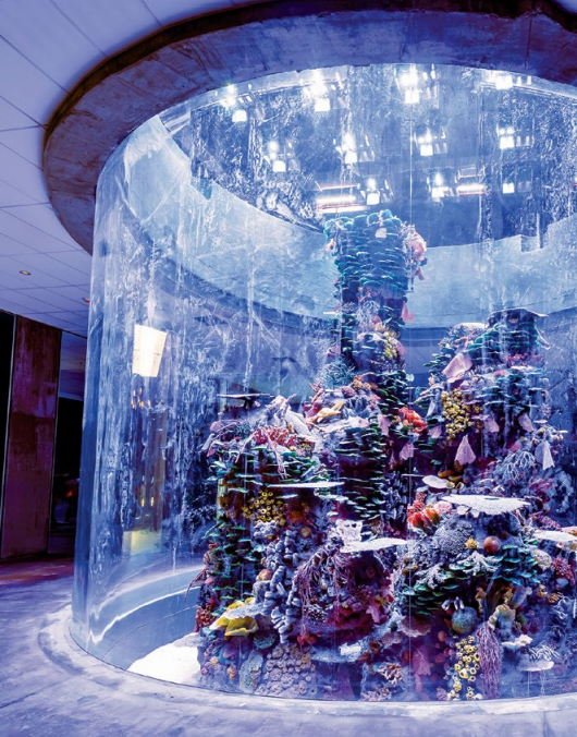 El Gran Acuario Mazatlán Mar de Cortés (1)